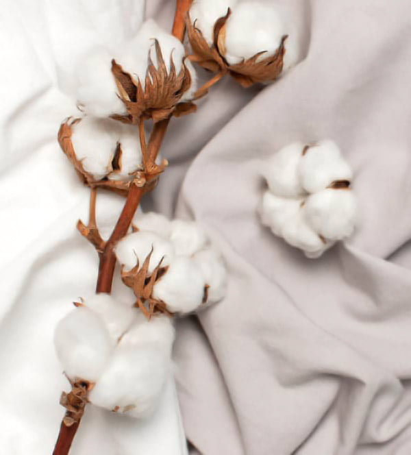 cotton kapas
